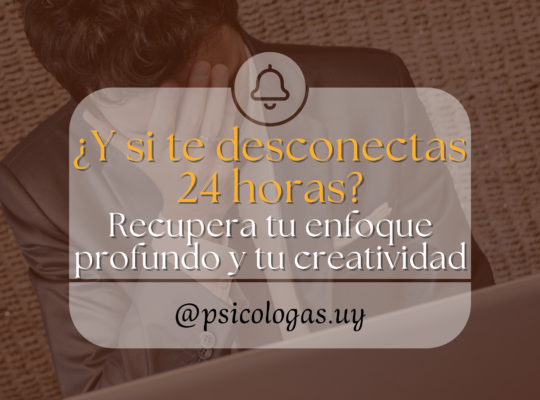 Desconexión por 24 horas